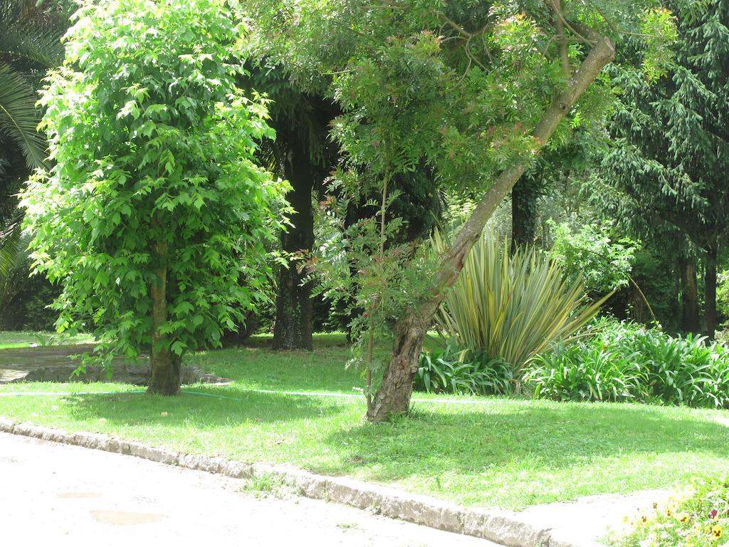 No Meio Da Natureza - Turismo No Espaco Rural Vila Nova de Famalicao Exterior photo